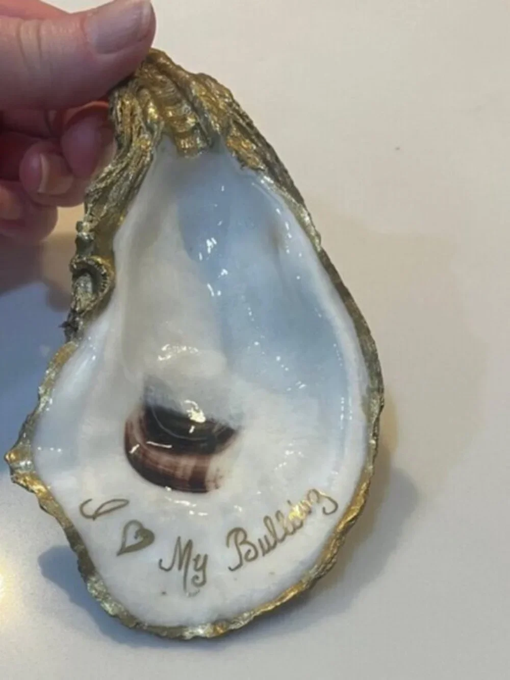 Bulldog Oyster Trinket Dish Gold Accent Jewelry Ring Holder